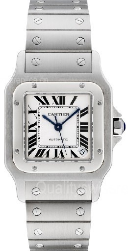 Cartier Santos Cartier 2824 Automatic Neutral Watch W20098D6