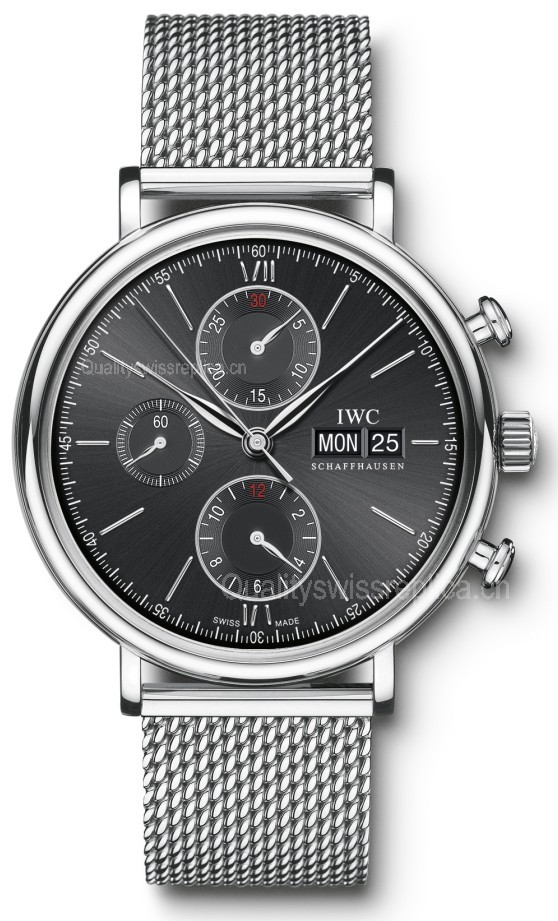 IWC Portofino Swiss 2824 Automatic Man Watch IW391006