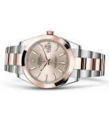 Rolex Datejust 126301-9 Swiss Automatic Watch Sundust Dial 41MM