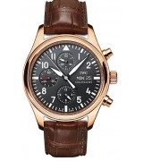 IWC Pilot Swiss Cal.79320 Automatic Man Watch IW371713